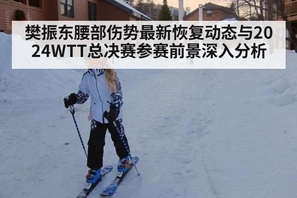 樊振东腰部伤势最新恢复动态与2024WTT总决赛参赛前景深入分析