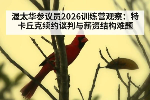 渥太华参议员2026训练营观察：特卡丘克续约谈判与薪资结构难题
